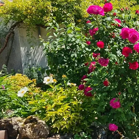 De 2 A 11 Personnes Au Domaine D'usson Vakantiehuis